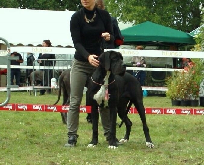 Jaguara de la Benjamine